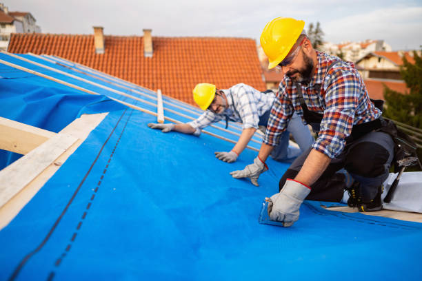 Roof Gutter Cleaning in Quincy, MI
