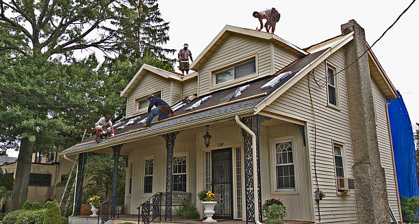 Best Roof Maintenance Services  in Quincy, MI