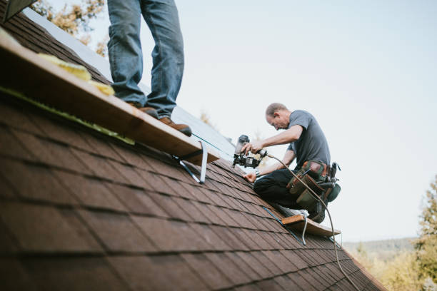 Best Shingle Roofing Installation  in Quincy, MI
