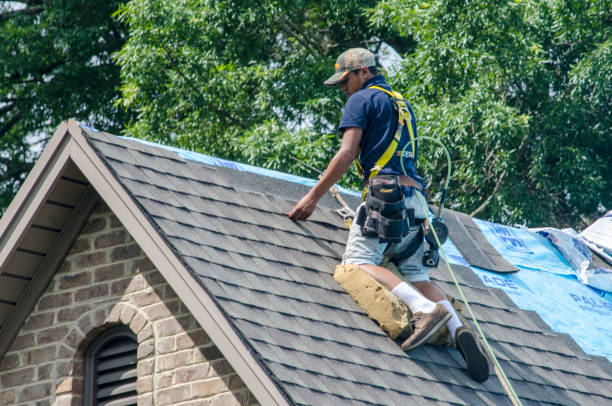 Best Best Roofing Contractors  in Quincy, MI
