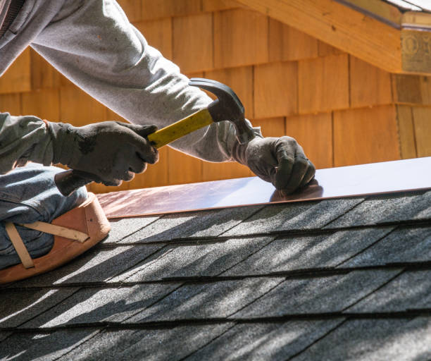 Best Roof Gutter Cleaning  in Quincy, MI